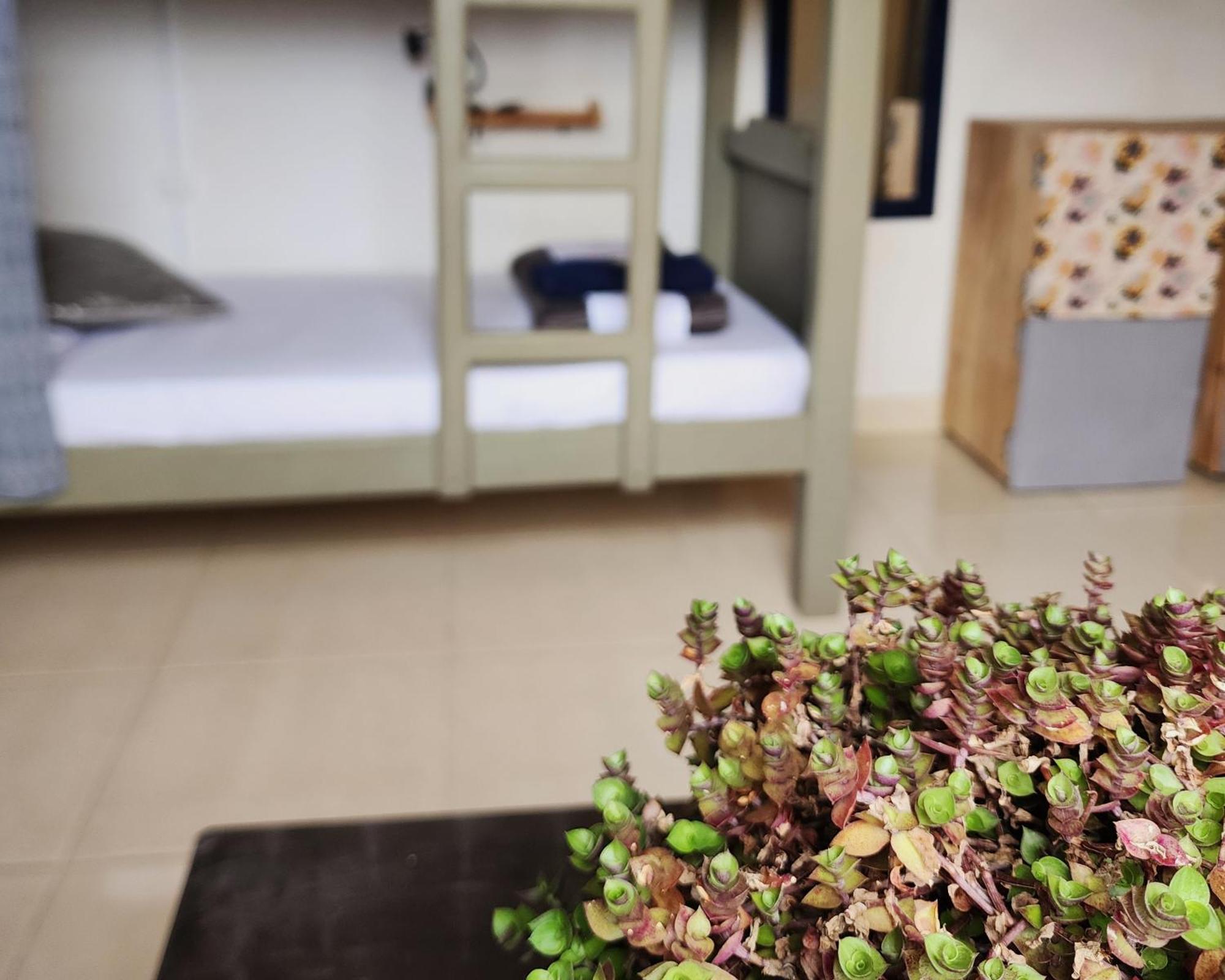 Casa Kayam Art Hostel Coliving Coworking Guatapé 客房 照片