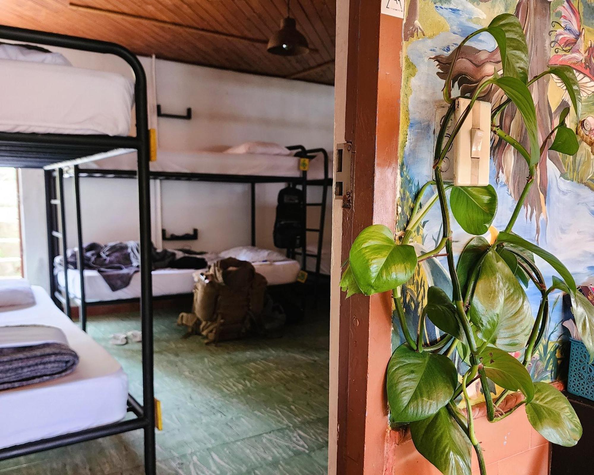 Casa Kayam Art Hostel Coliving Coworking Guatapé 外观 照片